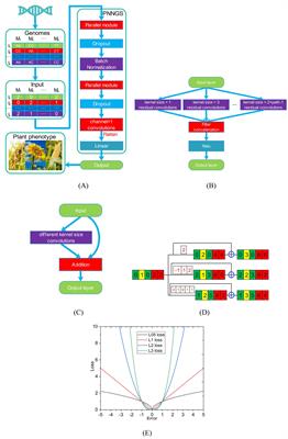 PNNGS, a multi-convolutional parallel neural network for genomic selection